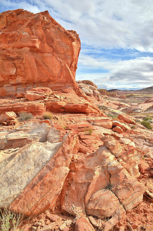 Valley Of Fire State Park Art Print featuring the photograph Castle High Above Wash 5 in Valley of Fire by Ray Mathis