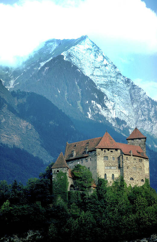 Liechtenstein Art Print featuring the photograph Castle in Liechtenstein by Carl Purcell