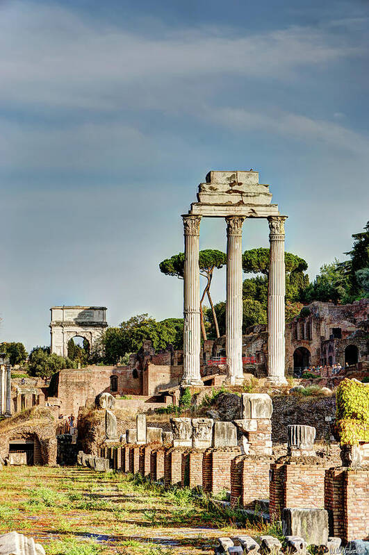 Forum Art Print featuring the photograph Castor Pollux and Titus by Weston Westmoreland
