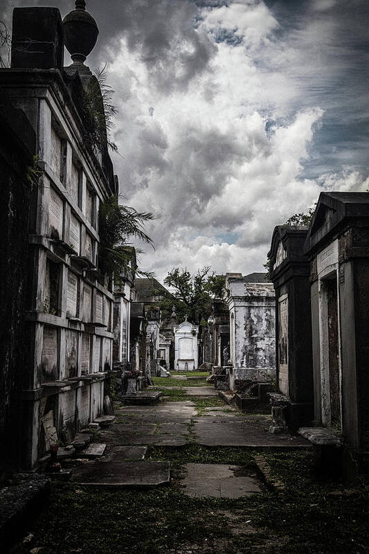 New Orleans Art Print featuring the photograph Cemetery Row by Laura Roberts