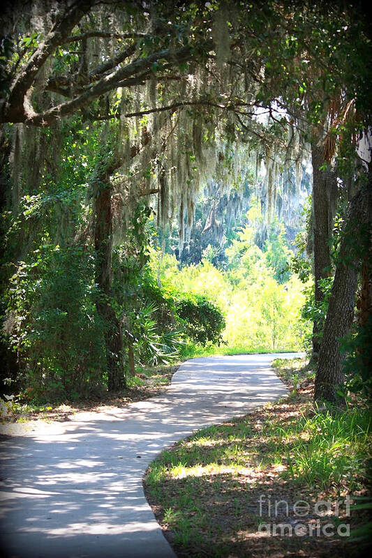 Florida Art Print featuring the photograph Central Florida Perspective by Carol Groenen