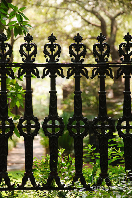 Fence Art Print featuring the photograph Charleston Fence by Susan Cliett