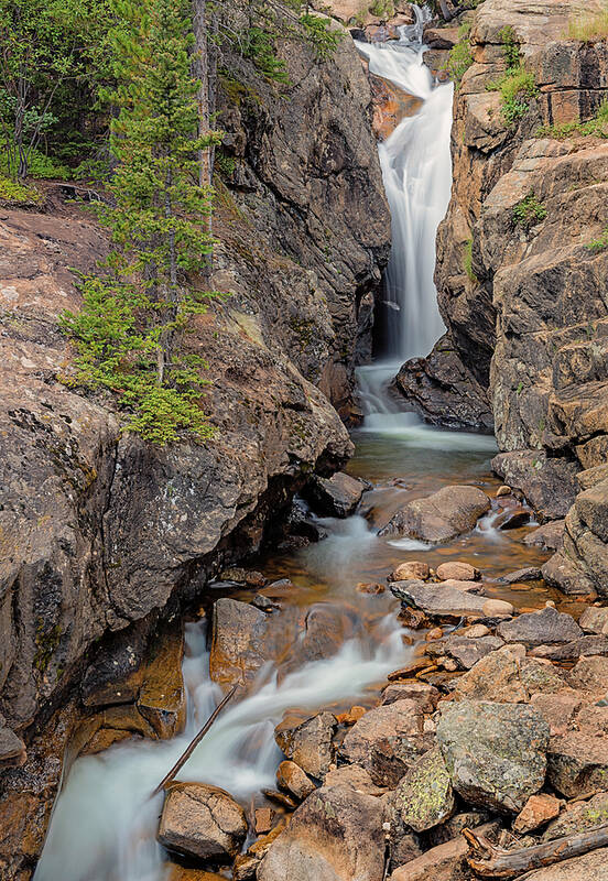 Loree Johnson Photography Art Print featuring the photograph Chasm Falls Vertical by Loree Johnson