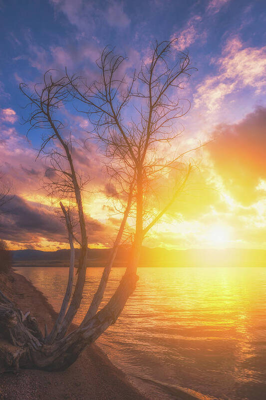 Sunset Art Print featuring the photograph Chatfield Lake Sunset by Darren White