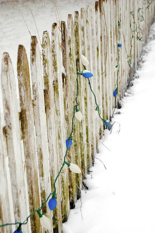 Picket Fence Art Print featuring the photograph Christmas Fence by Troy Stapek