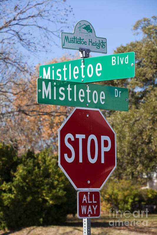 Mistletoe Art Print featuring the photograph Christmas theme street sign by Anthony Totah