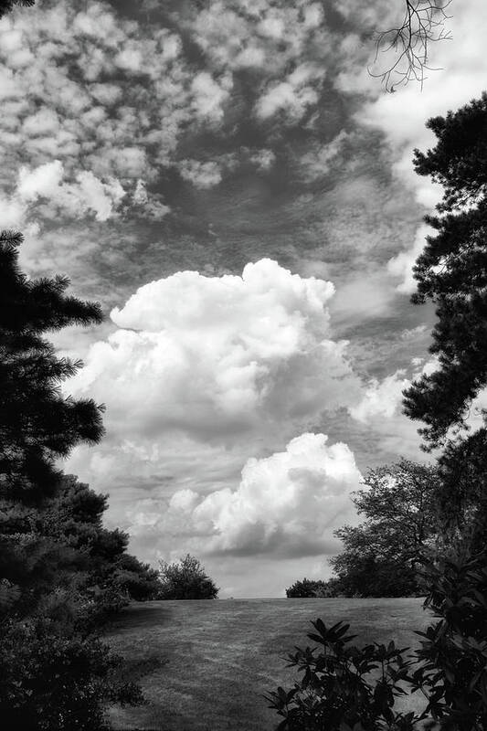 Clouds Art Print featuring the photograph Clouds Illusions by Jessica Jenney