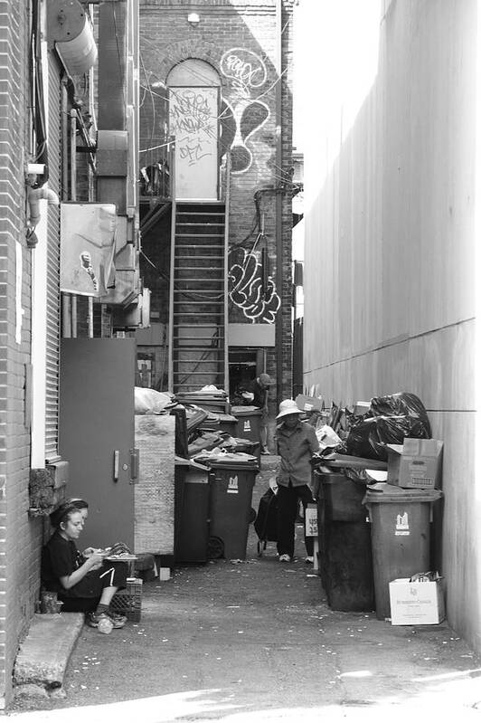 Alley Art Print featuring the photograph Co-existence by Kreddible Trout