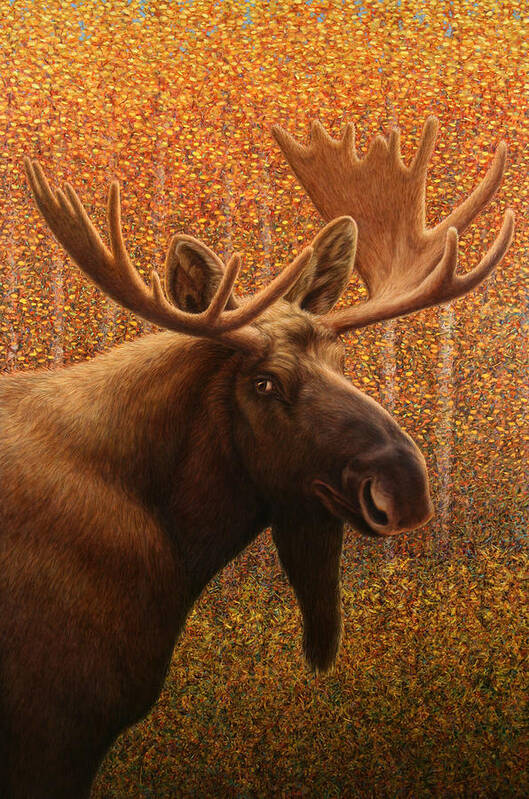 Moose Art Print featuring the painting Colorado Moose by James W Johnson