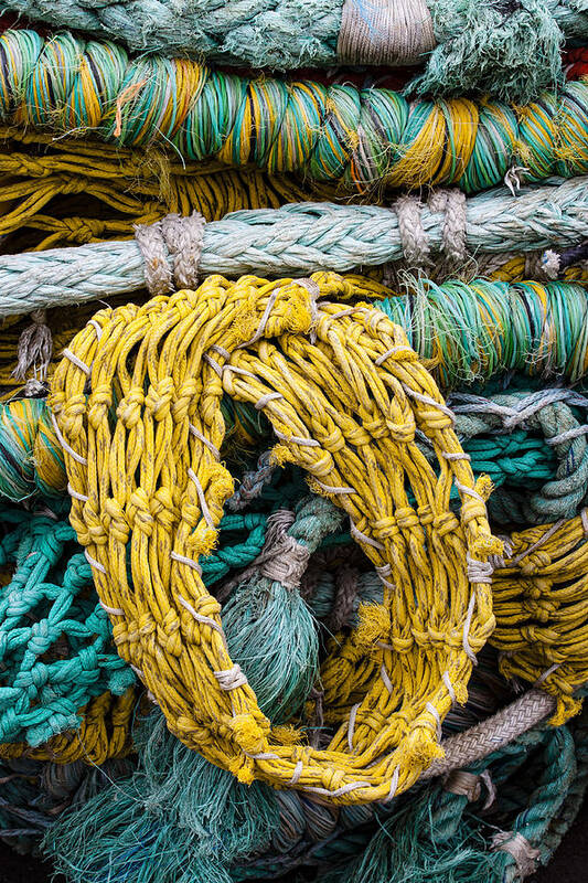Oregon Art Print featuring the photograph Colorful Fishing Nets by Carol Leigh