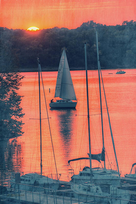 Sailboat Art Print featuring the photograph Come Sail Away by Pamela Williams