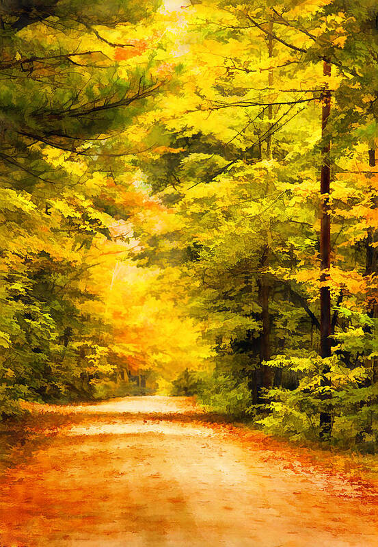 Fall Art Print featuring the digital art Country Road In Autumn Digital Art by Sherry Curry