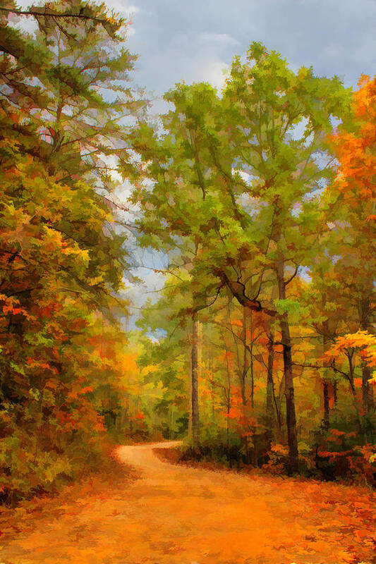 Fall Art Print featuring the photograph Country Road Variation 1 by Lorraine Baum