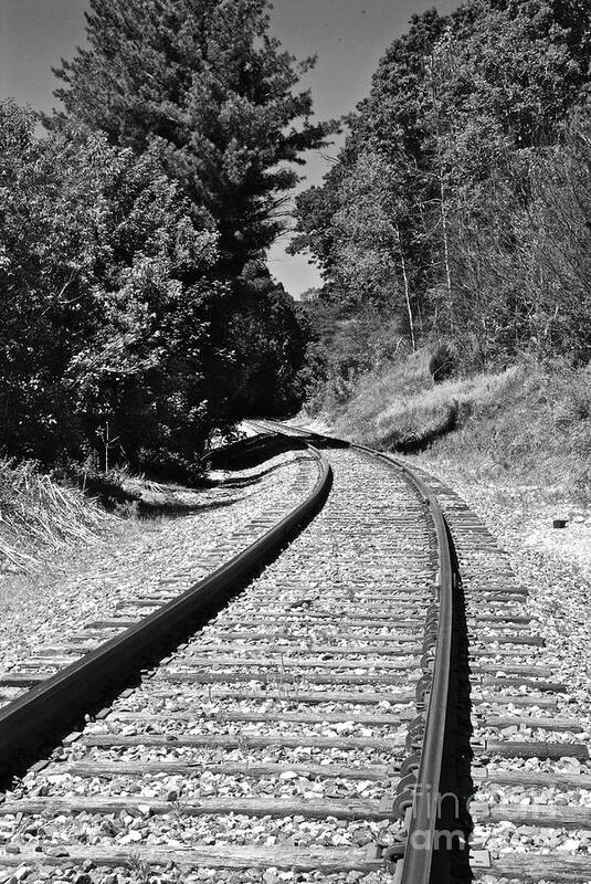 Black And White Art Print featuring the photograph Country Tracks Black and White by Mark Dodd