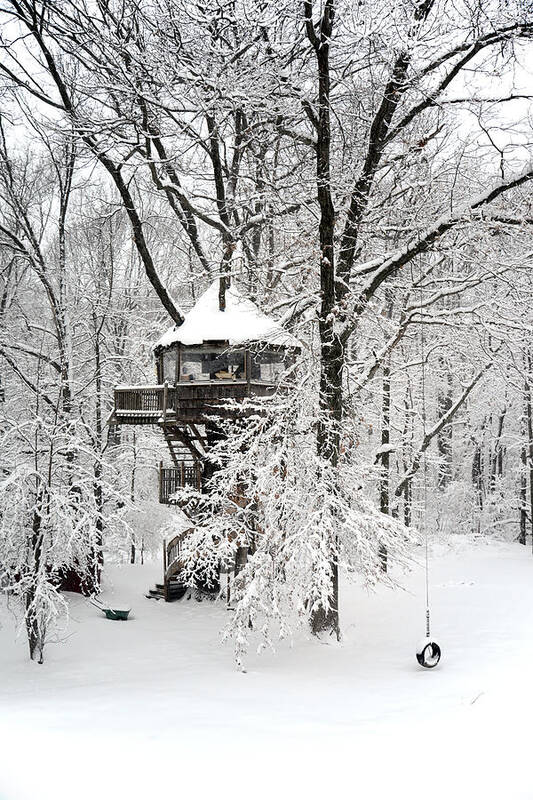 Treehouse Art Print featuring the photograph Crystal Palace Fade to White by John Napoli