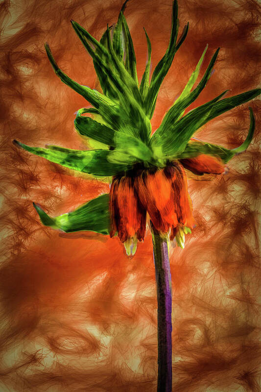 Crown-imperial Art Print featuring the digital art Crown-Imperial #h1 by Leif Sohlman