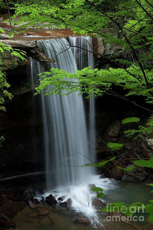Waterfall Art Print featuring the photograph Cucumber Falls by Rich S