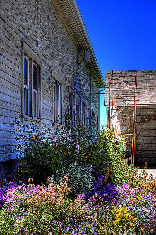 Dahmen Barn Art Print featuring the photograph Dahmen Barn Flowers by David Patterson