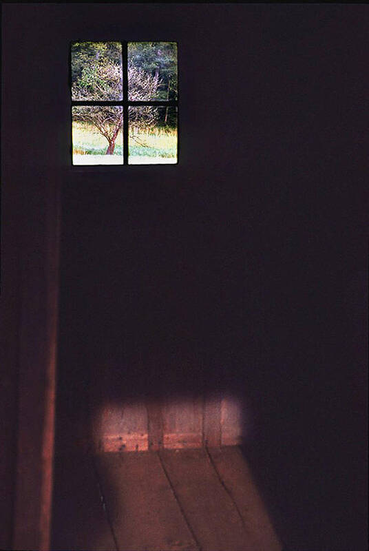 Cabin Art Print featuring the photograph Dark Cabin Window by Ted Keller