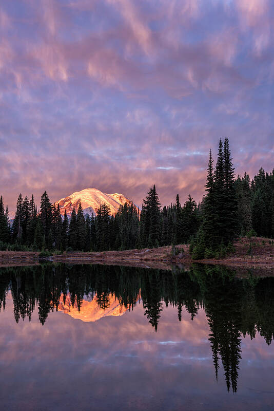 Loree Johnson Photography Art Print featuring the photograph Dawn at Tipsoo Lake by Loree Johnson