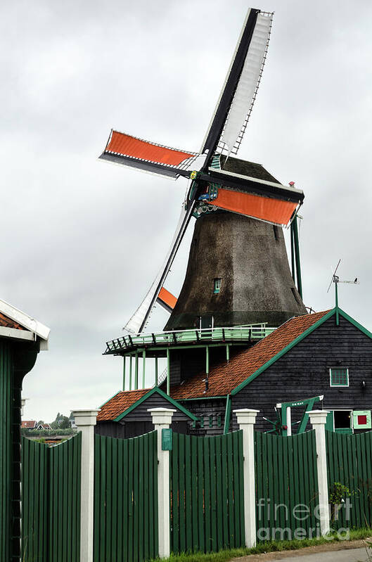 Europe Art Print featuring the photograph De Kat windmill in Zaanse Schans by RicardMN Photography