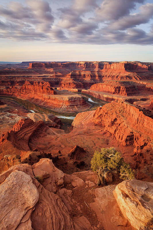 Dead Horse Point Art Print featuring the photograph Dead Horse Point Vertical by Wasatch Light