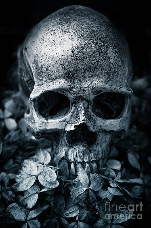 Morbid Art Print featuring the photograph Death Comes to Us All by Edward Fielding