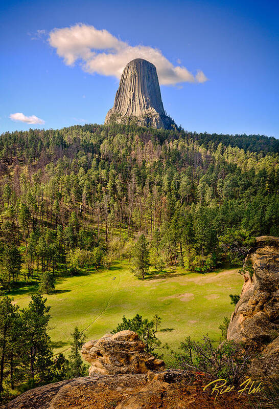 Devil's Tower Art Print featuring the photograph Devil's Tower in Summer by Rikk Flohr
