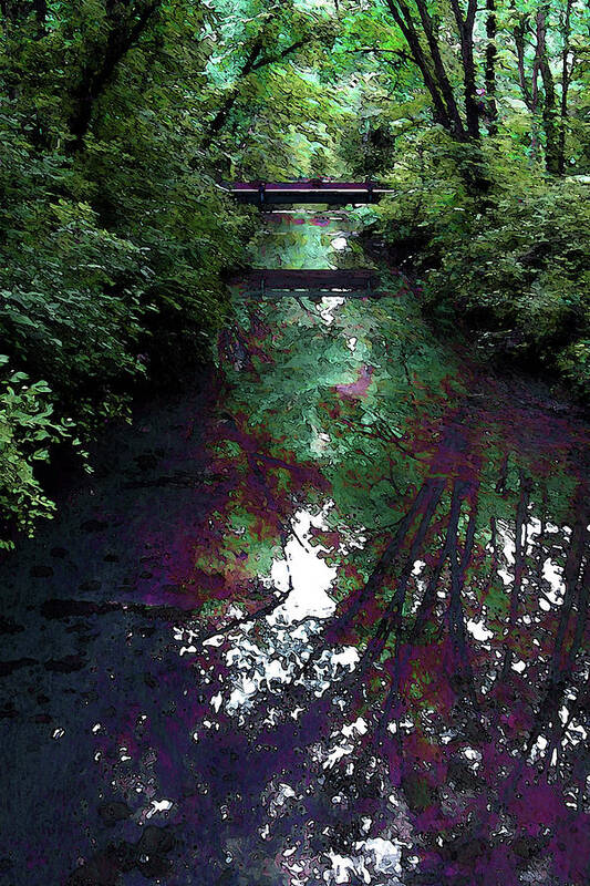 Digital Painting Art Print featuring the photograph Digital Painting Hidden Woodland Stream 2864 DP_2 by Steven Ward