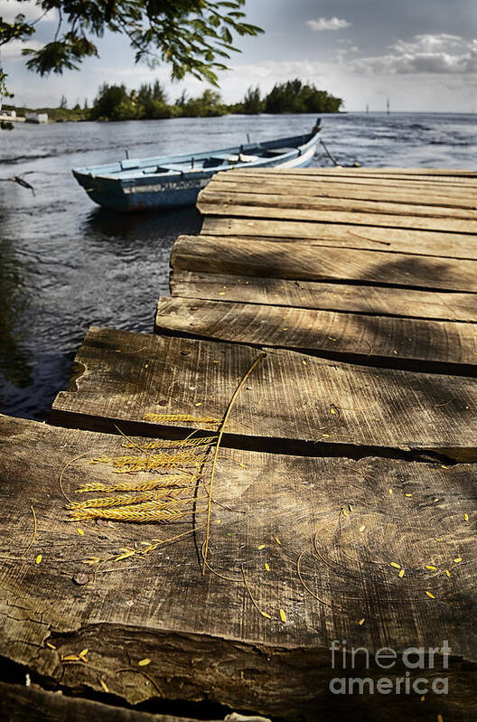 Bote Art Print featuring the photograph Dock details by Jose Rey