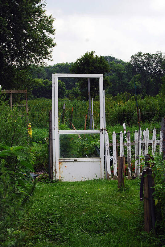 Door Art Print featuring the photograph Doorway by Coralyn Klubnick Simone