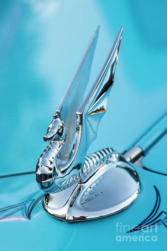 Hood Ornament Art Print featuring the photograph Flying Seahorse Hood Ornament - Classic Car by Gary Whitton