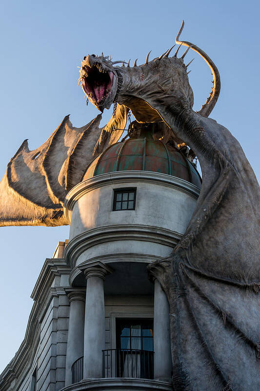  Art Print featuring the photograph Dragon over Diagon Alley by Matthew T Ross