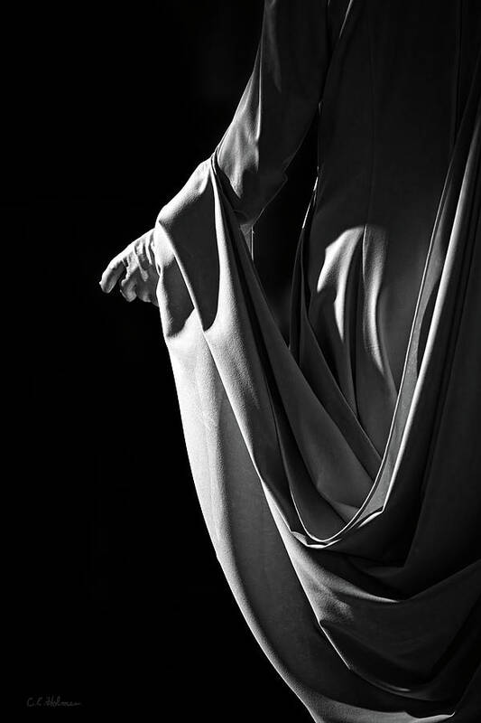 Cloth Art Print featuring the photograph Draped B-W by Christopher Holmes