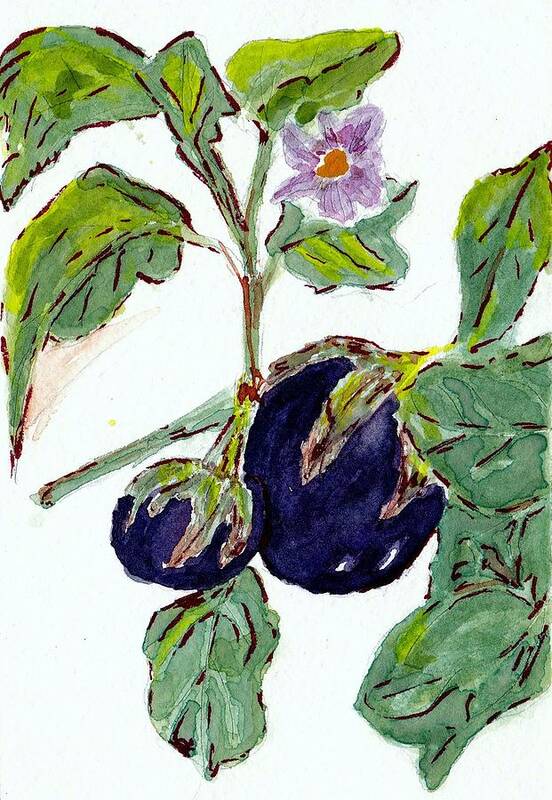 Eggplants Abound In My Arizona Garden. Art Print featuring the painting Eggplants I have known by Jane Hayes