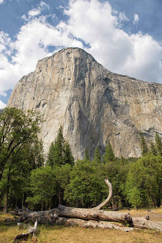 El Capitan Art Print featuring the photograph El Capitan - Yosemite National Park - California by Bruce Friedman