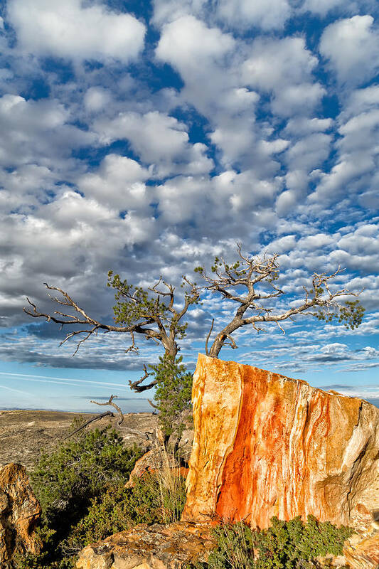 Castle Gardens Art Print featuring the photograph Escarpment in the Badlands by Kathleen Bishop