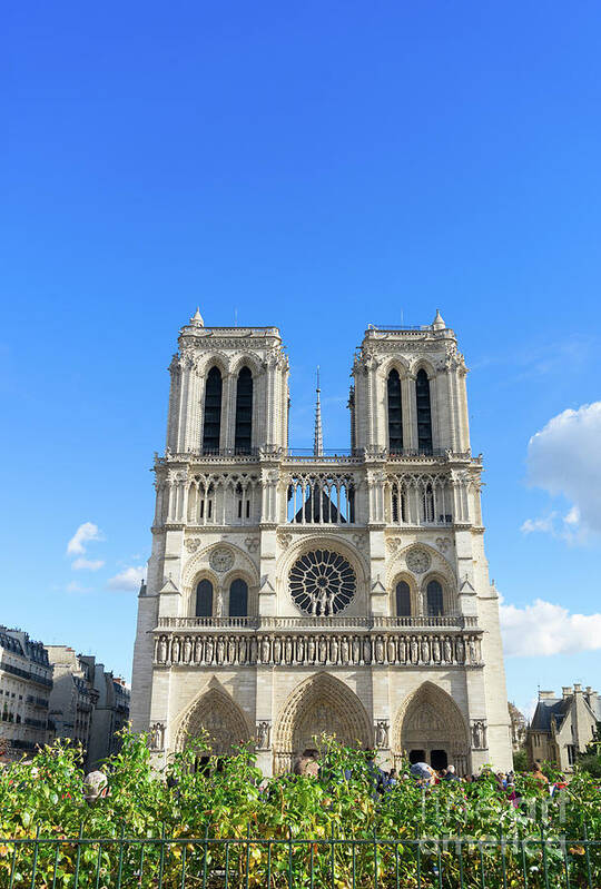 Notre-dame Art Print featuring the photograph Facade of Notre Dame by Anastasy Yarmolovich
