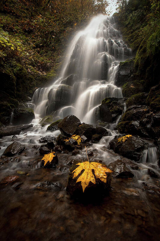 Fairy Falls Art Print featuring the photograph Fairy Tale by Ryan Smith