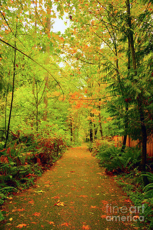 Fall Art Print featuring the photograph Fall Path Too by Brian O'Kelly