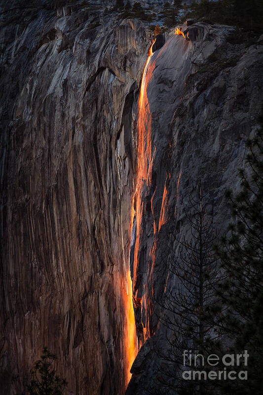 Yosemite Art Print featuring the photograph Fire Fall by Anthony Michael Bonafede
