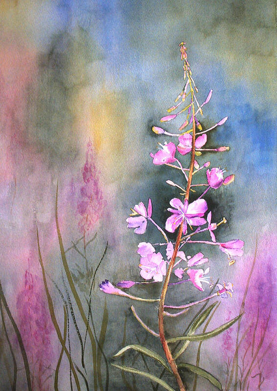 Flower Art Print featuring the painting Fireweed by Marsha Karle