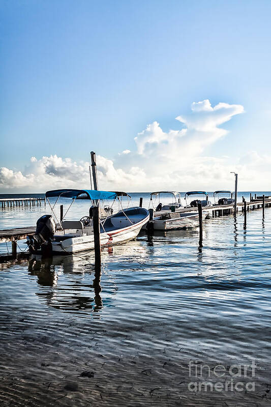 Belize Art Print featuring the photograph Fisherman's Marina by Lawrence Burry