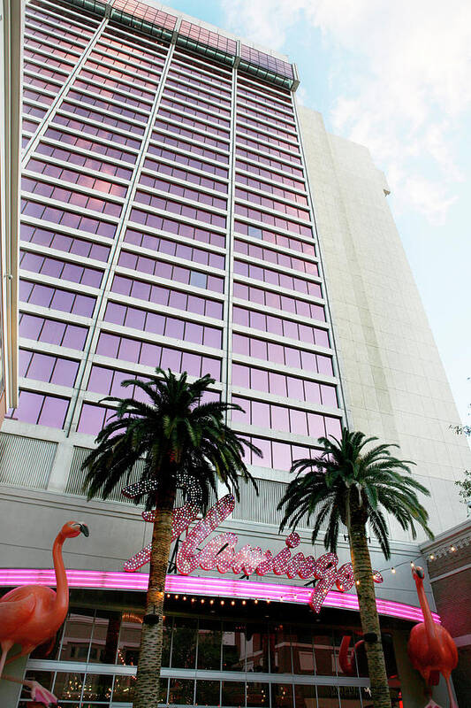 Flamingo Art Print featuring the photograph Flamingo Hotel neon Sign Las Vegas by Marilyn Hunt