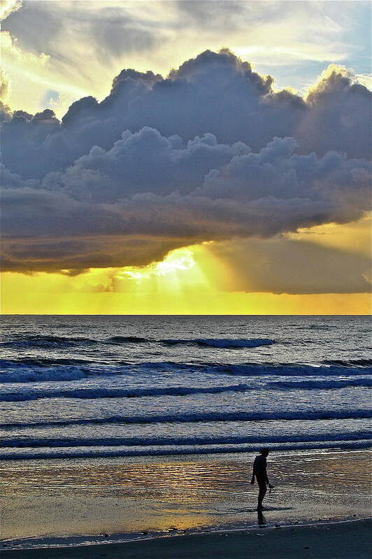 Ocean Art Print featuring the photograph Florida Morning by Diana Hatcher