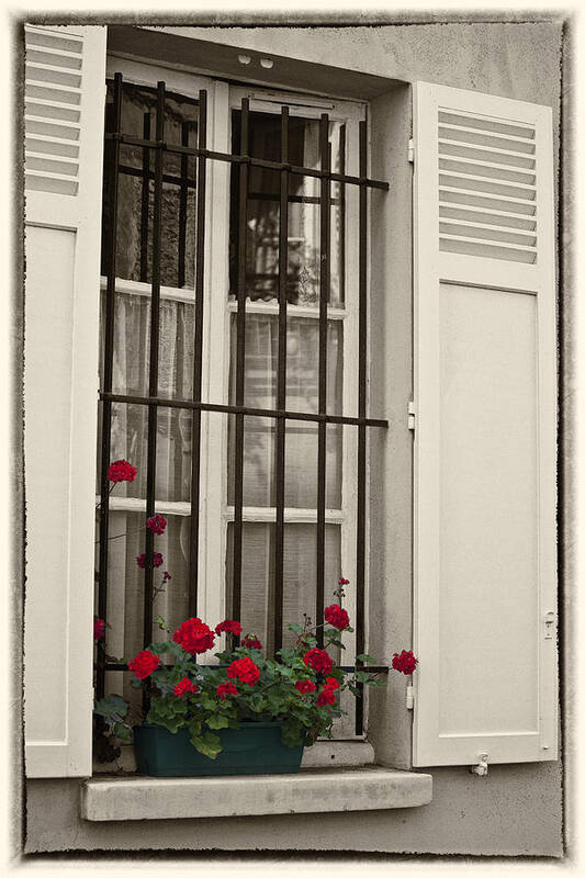 Paris Art Print featuring the photograph Flowers in Paris windowbox by Sheila Smart Fine Art Photography