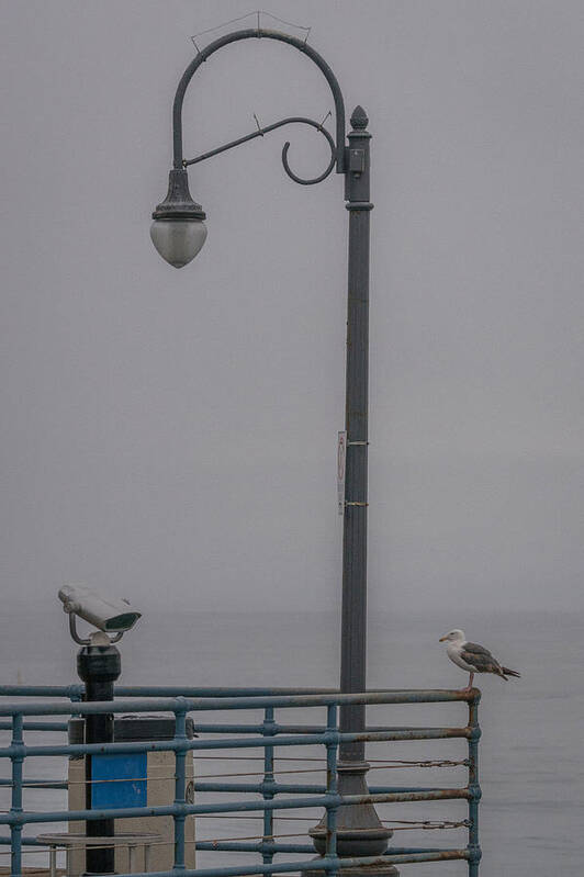 Seagull Art Print featuring the photograph Foggy Morning by Ernest Echols