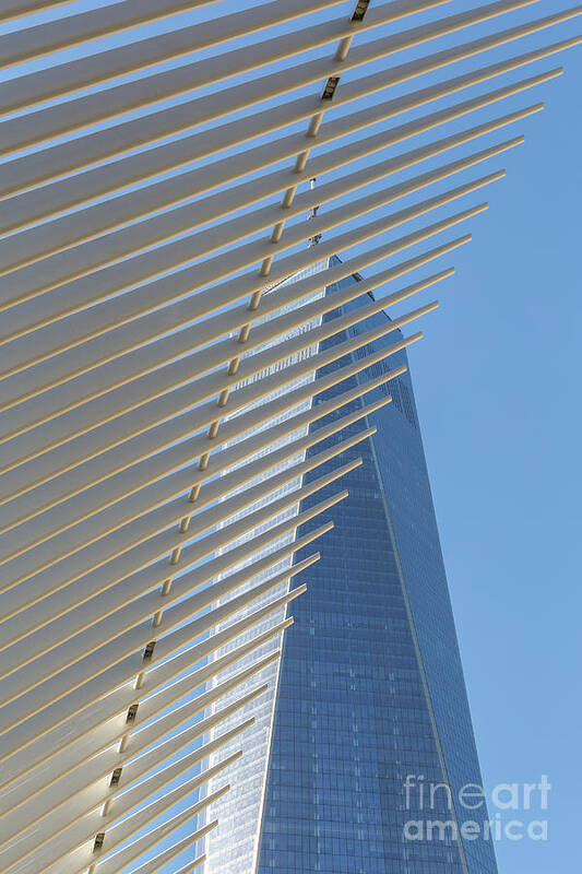 Clarence Holmes Art Print featuring the photograph Freedom Tower and Oculus III by Clarence Holmes