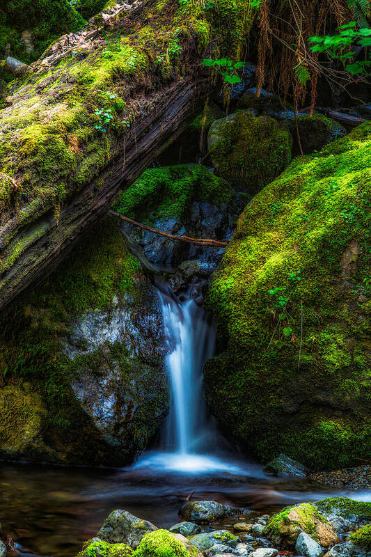 Water Falls Art Print featuring the photograph From Between by James Heckt