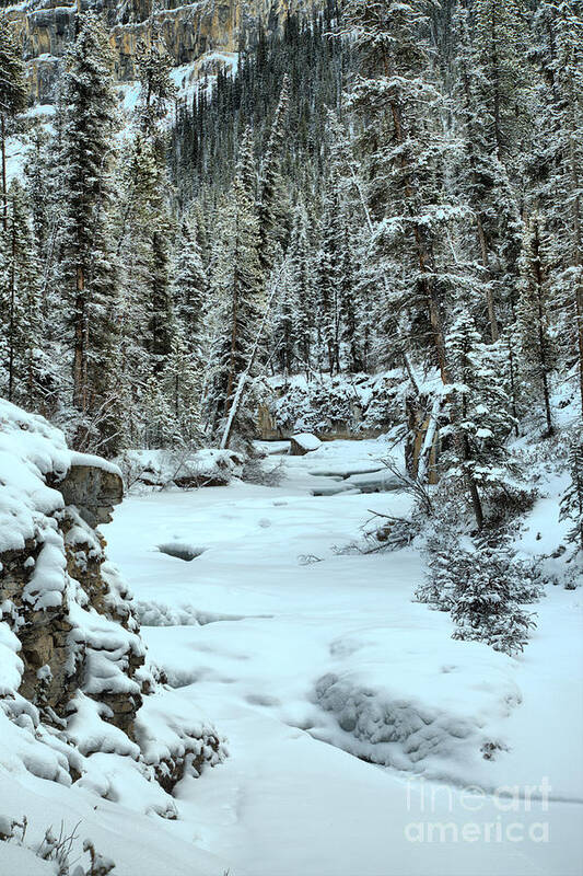 Beauty Creek Art Print featuring the photograph Frozen Jasper Portrait by Adam Jewell